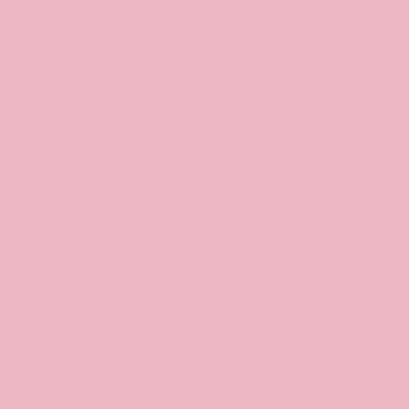 2081-50 Pink Ruffle